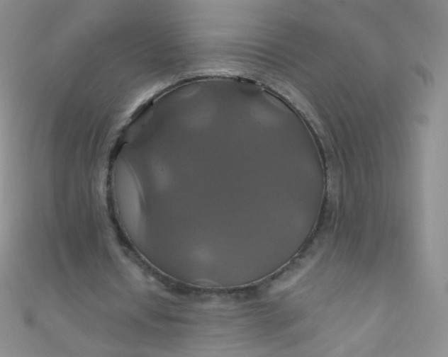 X0000110990434200907022119