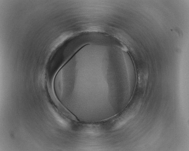 X0000110990436200907022119