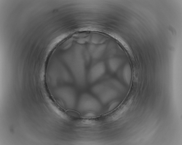 X0000110990437200907022119