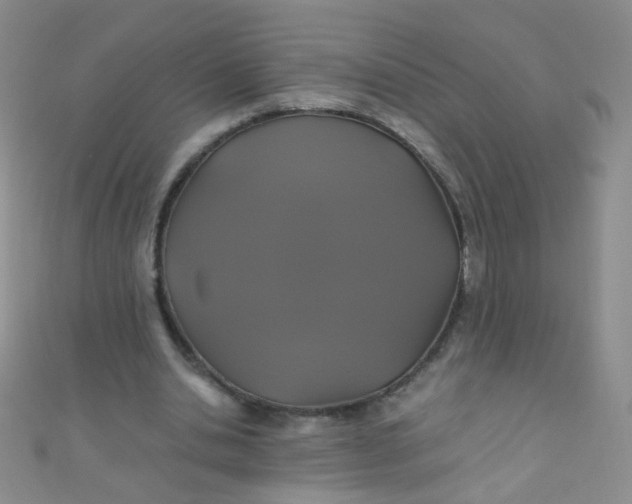 X0000110990438200907022119