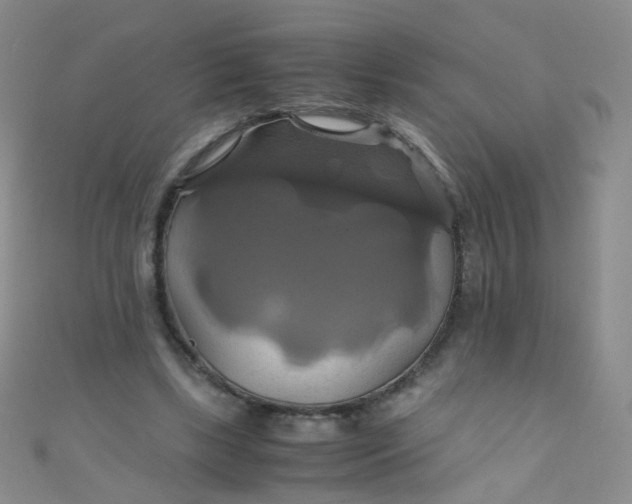 X0000110990443200907022120