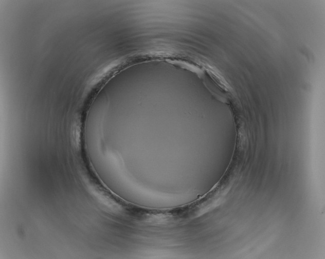 X0000110990446200907022120