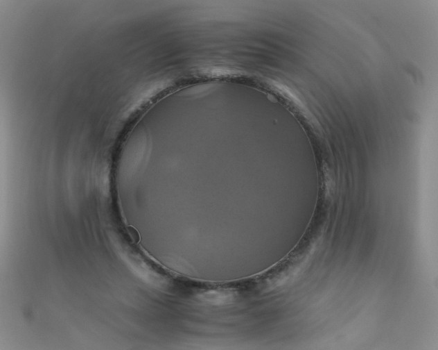 X0000110990447200907022120
