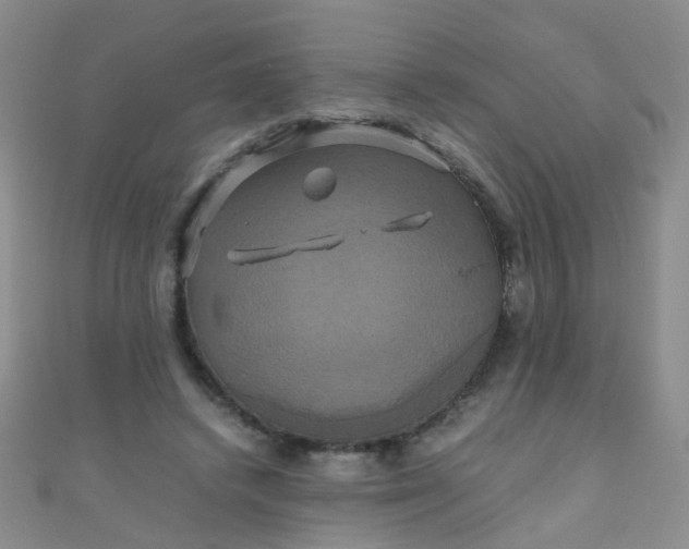 X0000110990448200907022120