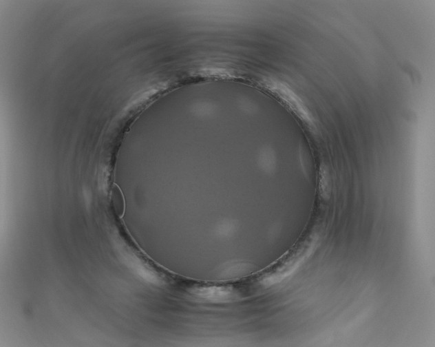 X0000110990449200907022120