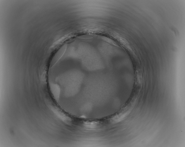 X0000110990450200907022120