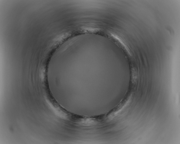 X0000110990451200907022120