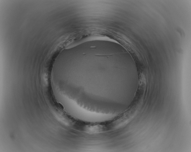 X0000110990452200907022120