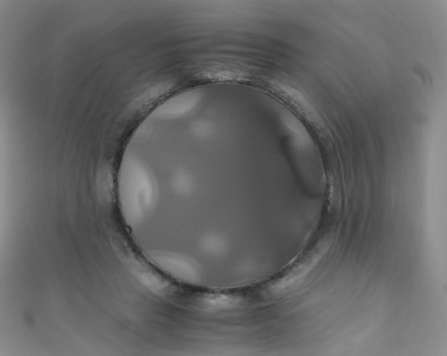 X0000110990453200907022120