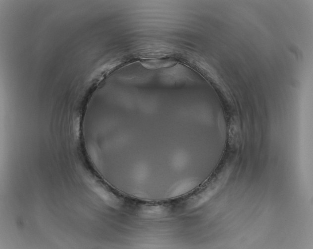X0000110990454200907022120