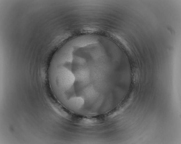 X0000110990455200907022120