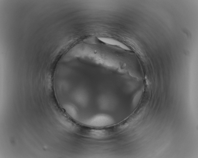 X0000110990457200907022120