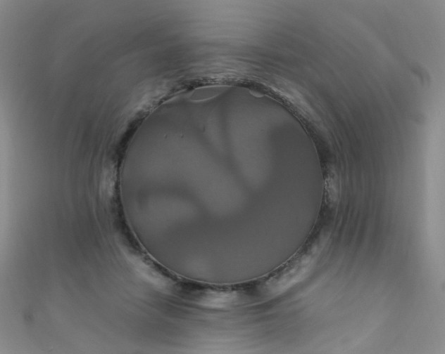 X0000110990458200907022120