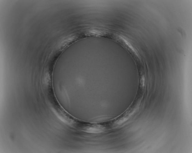 X0000110990459200907022120
