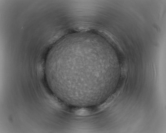 X0000110990460200907022120
