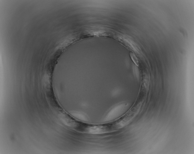 X0000110990461200907022120
