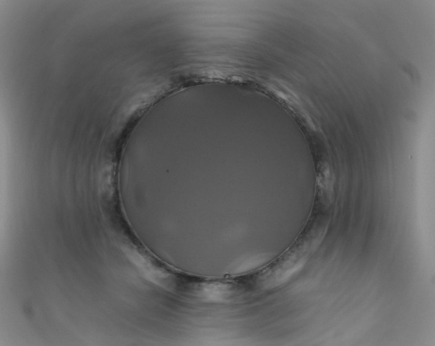 X0000110990462200907022120