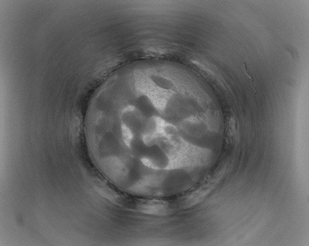 X0000110990463200907022120