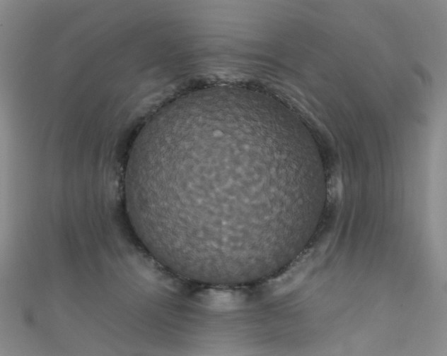 X0000110990464200907022120
