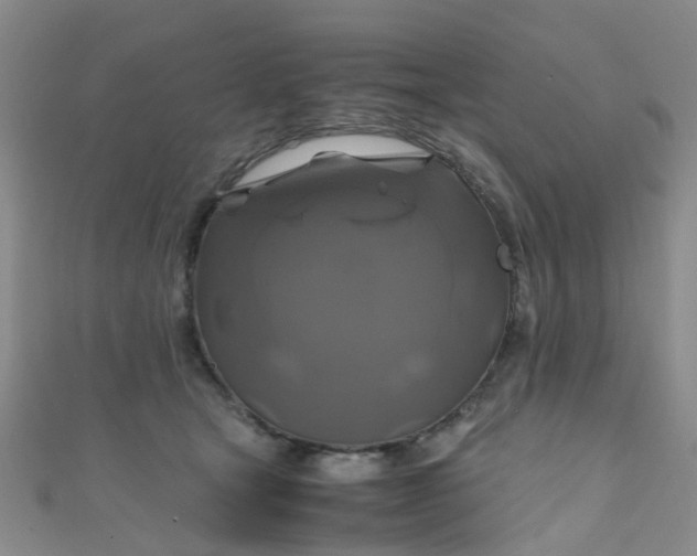 X0000110990465200907022120