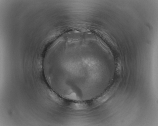 X0000110990466200907022120