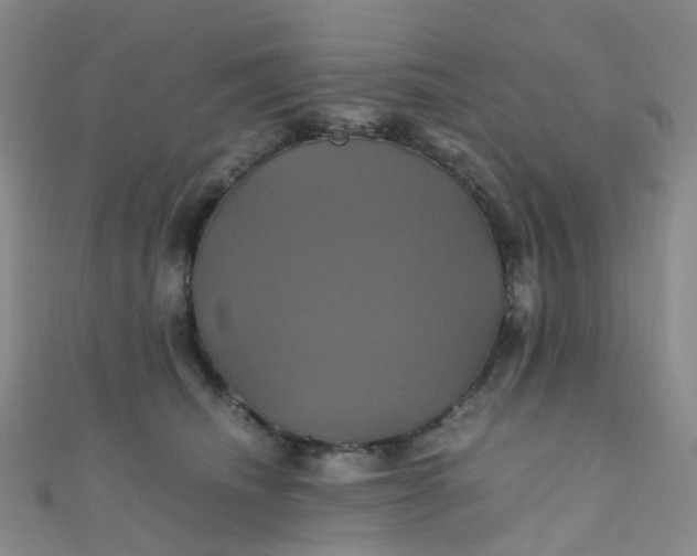 X0000110990468200907022120