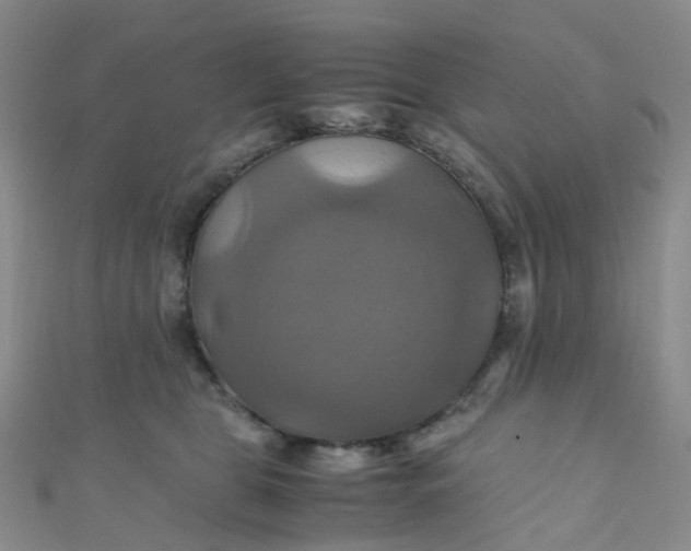 X0000110990469200907022120
