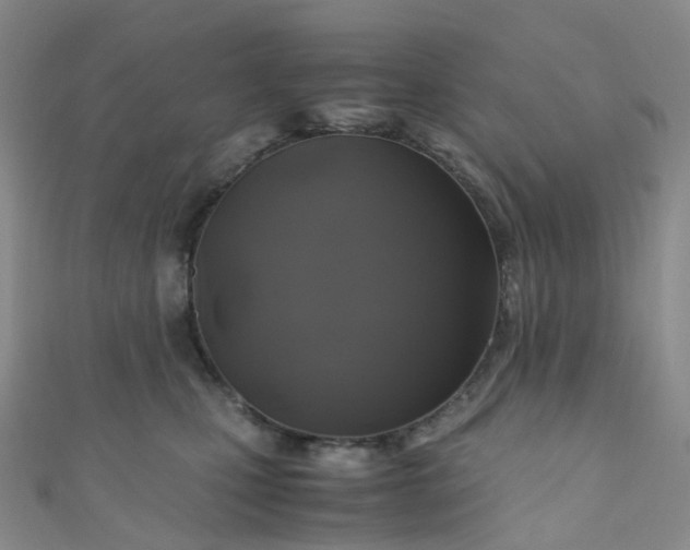 X0000110990471200907022120