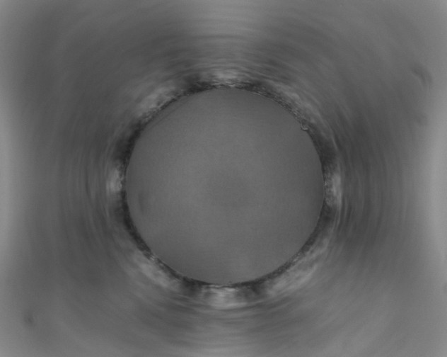 X0000110990472200907022120