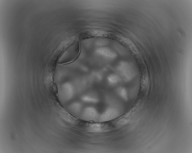 X0000110990473200907022120