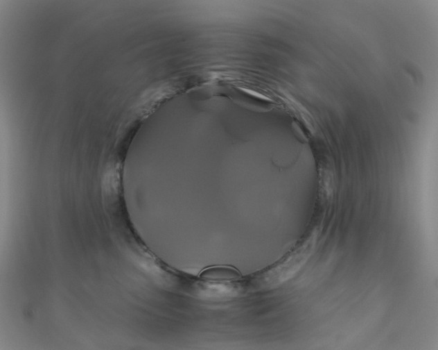 X0000110990475200907022120