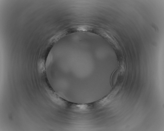 X0000110990478200907022120