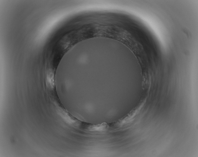 X0000110990479200907022120