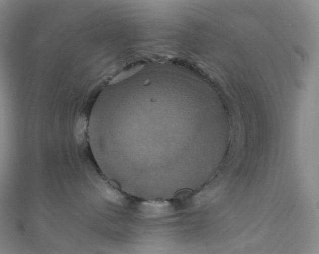 X0000110990480200907022120