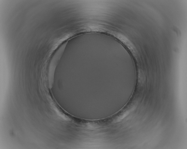 X0000110990481200907022119