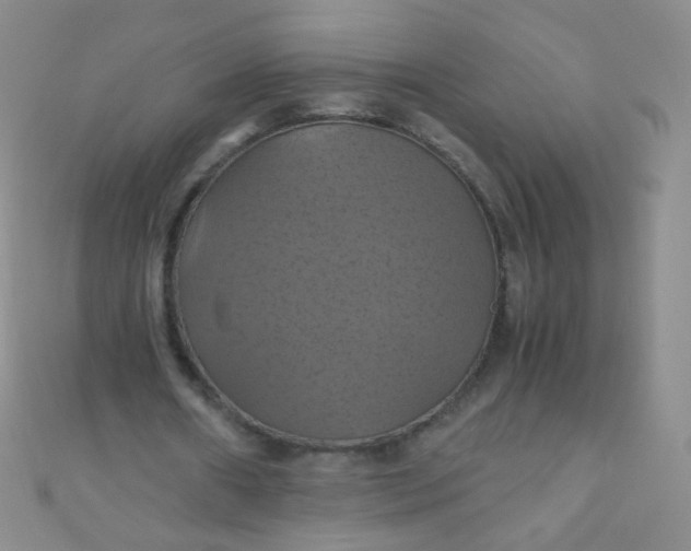 X0000110990482200907022119