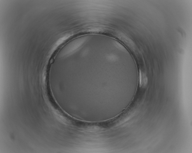 X0000110990483200907022119