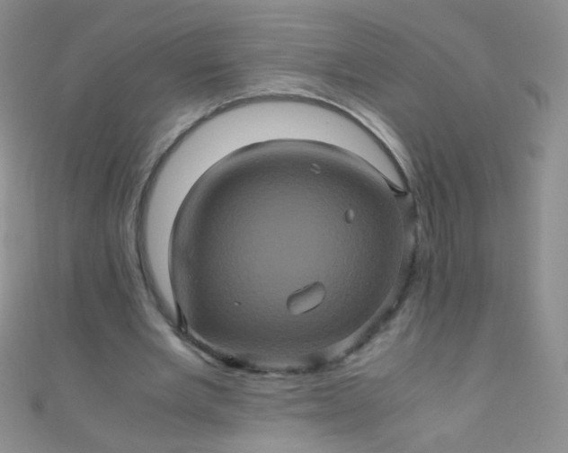 X0000110990485200907022119