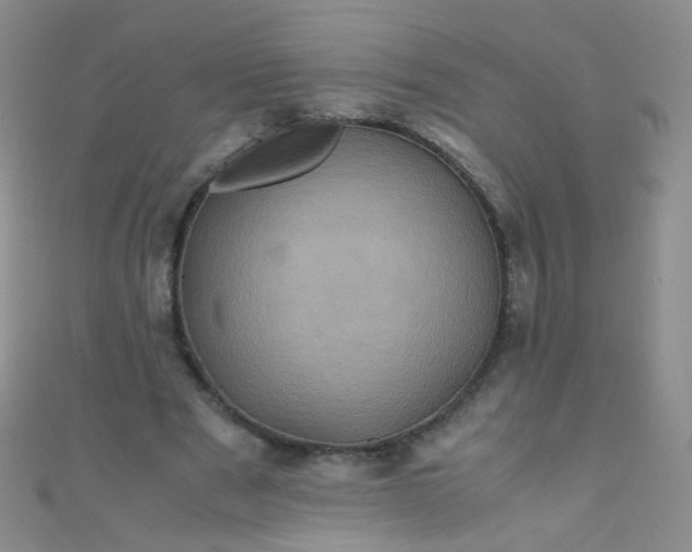 X0000110990489200907022119