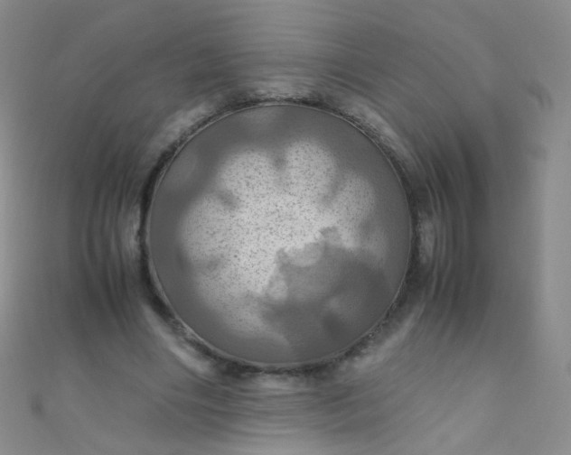 X0000110990490200907022119