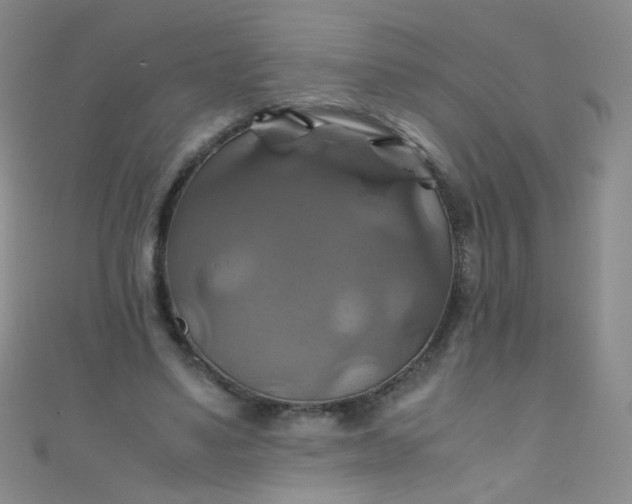 X0000110990491200907022119