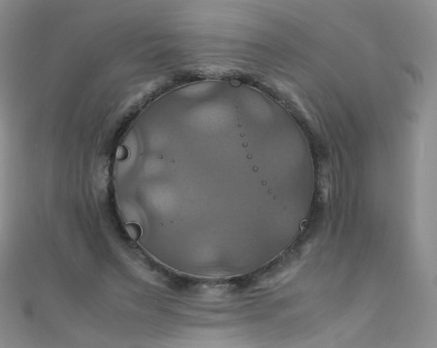 X0000110990495200907022119