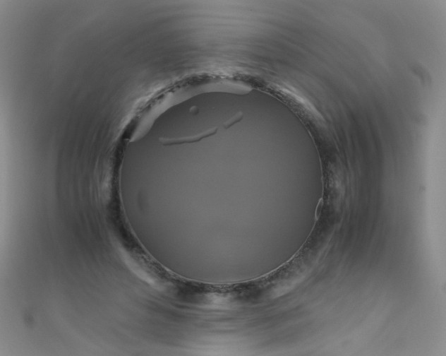 X0000110990496200907022119