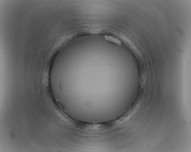 X0000110990497200907022119