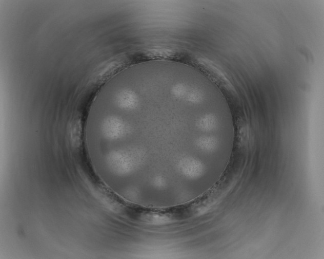 X0000110990498200907022119