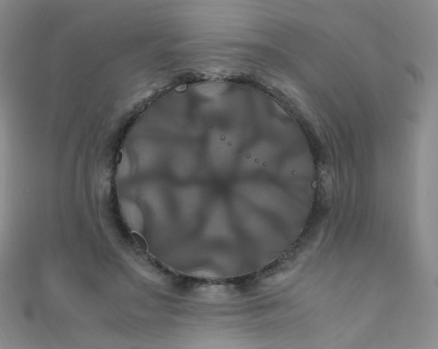 X0000110990499200907022119