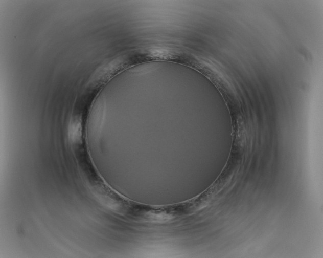 X0000110990502200907022119