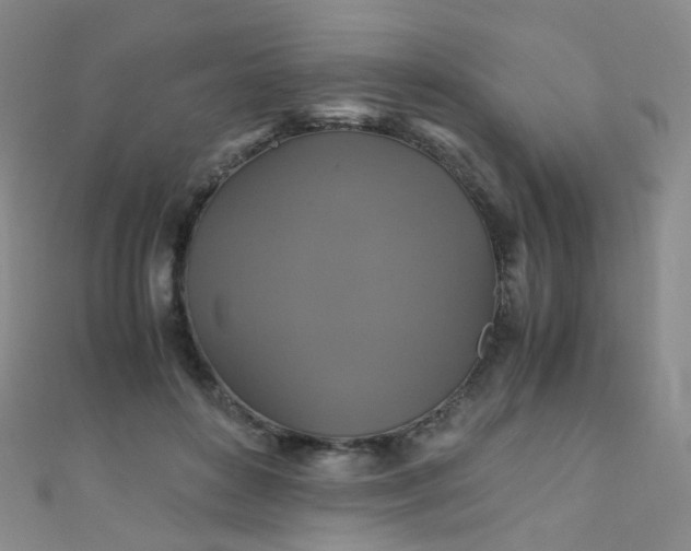 X0000110990504200907022119