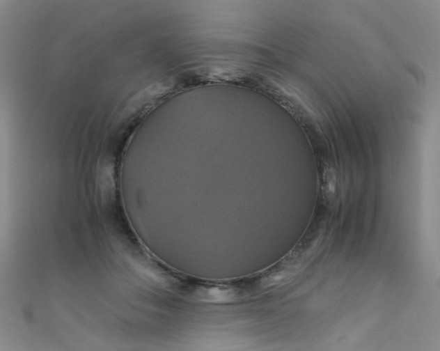 X0000110990506200907022119
