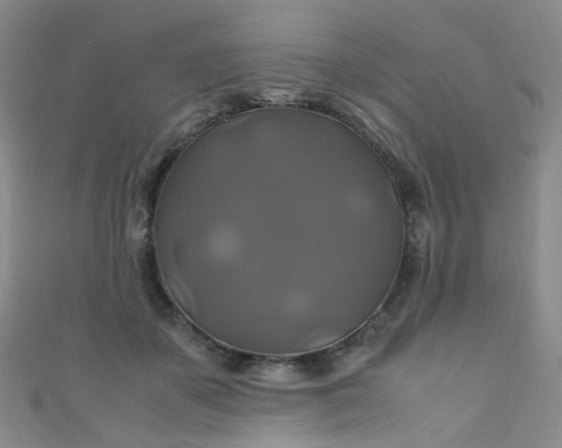 X0000110990507200907022119